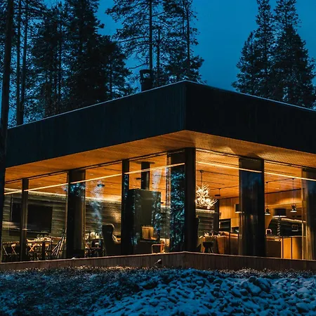 Oloresort Hotelli Levi